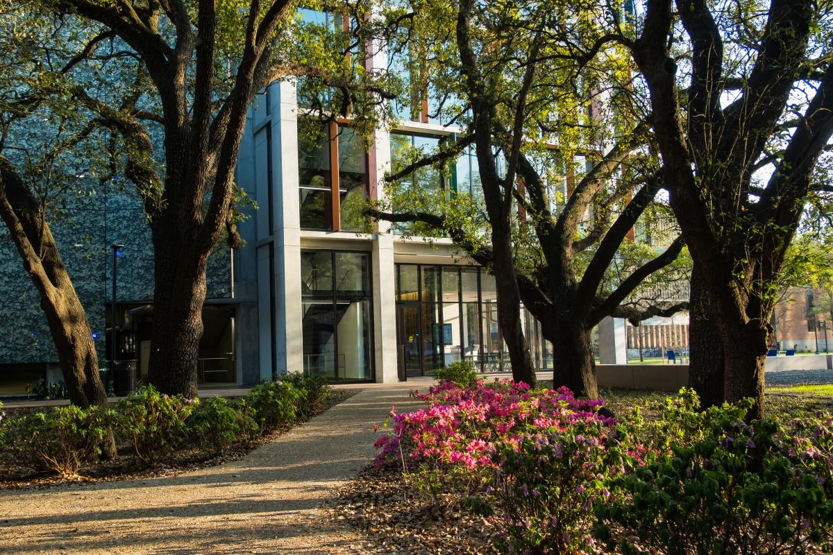 Photo shows tree-lined sidewalk leading to the front of the Cambridge Office Building.