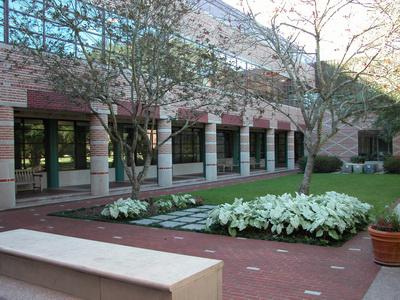 Outside view of a courtyard by Herring Hall.